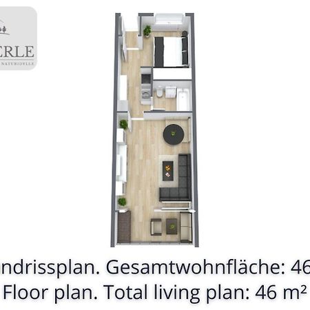 Auszeit Apartment Bellevue: Schwarzwald Panorama with Indoor Pool and Sauna Schonach im Schwarzwald Exterior photo