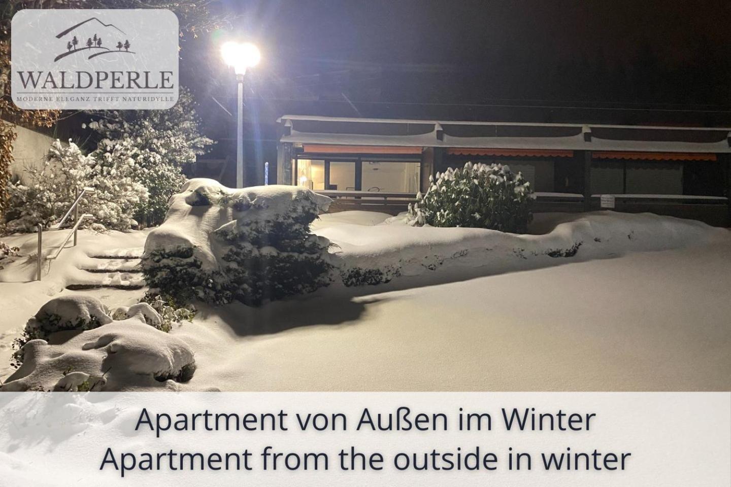 Auszeit Apartment Bellevue: Schwarzwald Panorama with Indoor Pool and Sauna Schonach im Schwarzwald Exterior photo