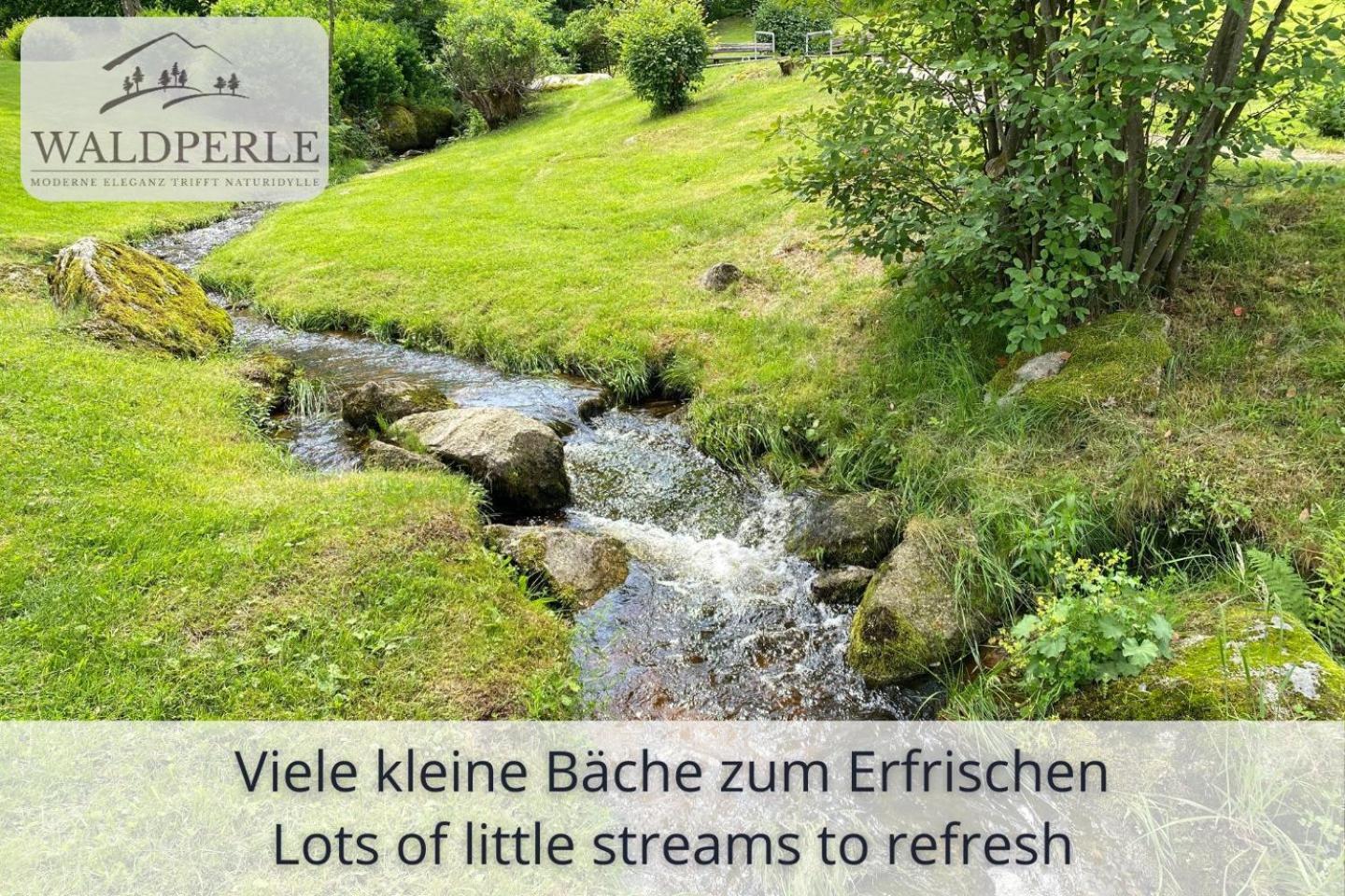 Auszeit Apartment Bellevue: Schwarzwald Panorama with Indoor Pool and Sauna Schonach im Schwarzwald Exterior photo