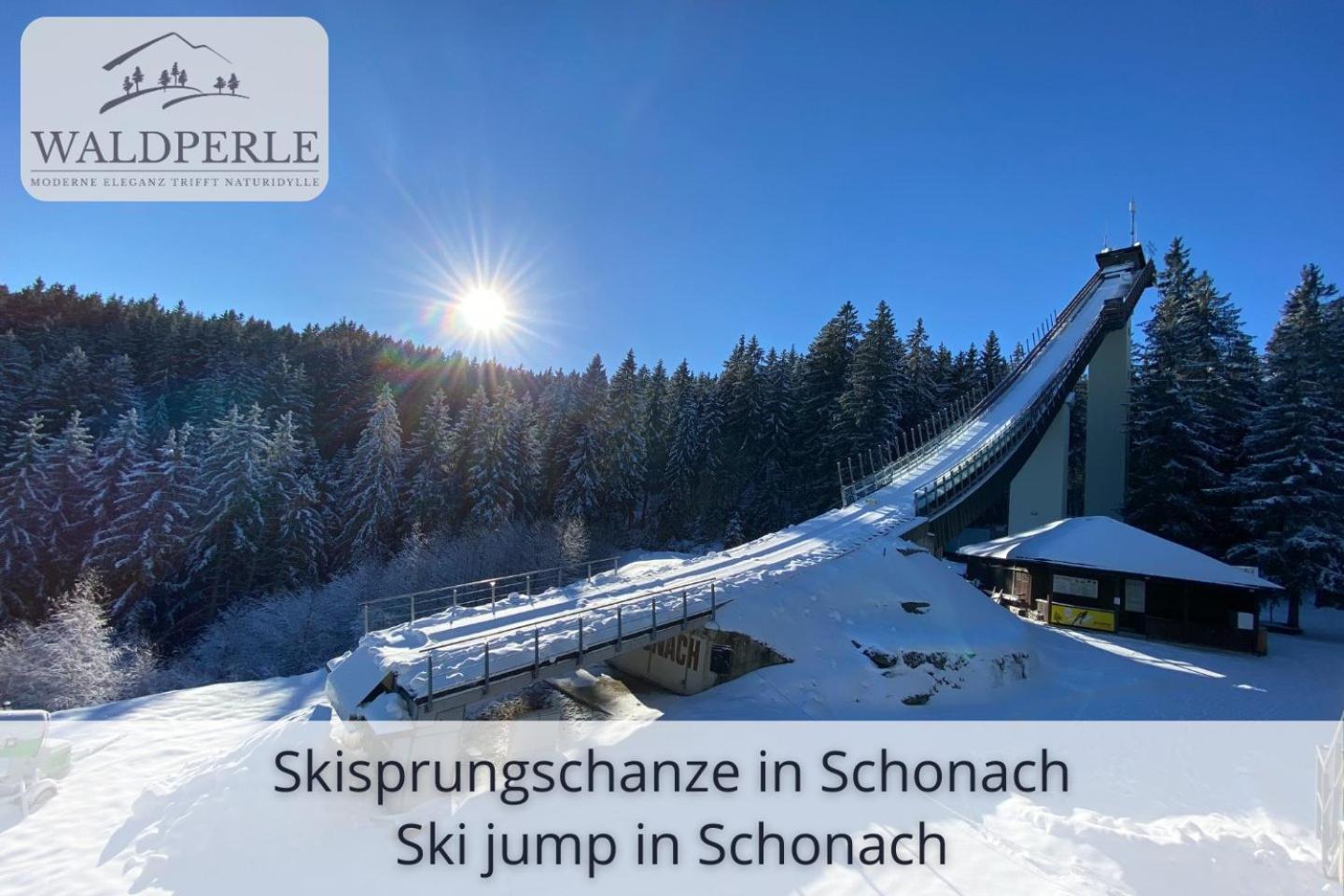 Auszeit Apartment Bellevue: Schwarzwald Panorama with Indoor Pool and Sauna Schonach im Schwarzwald Exterior photo