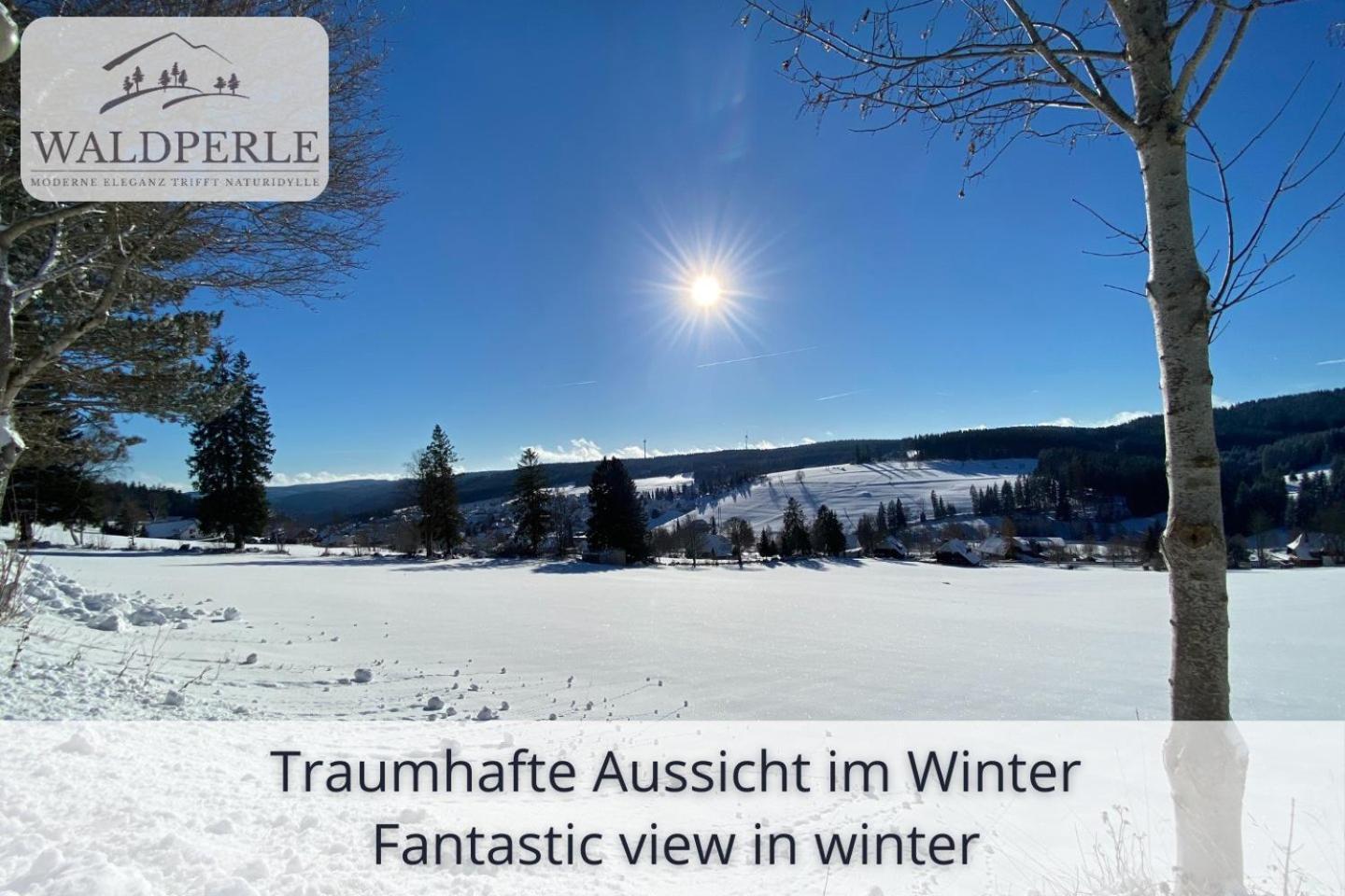 Auszeit Apartment Bellevue: Schwarzwald Panorama with Indoor Pool and Sauna Schonach im Schwarzwald Exterior photo