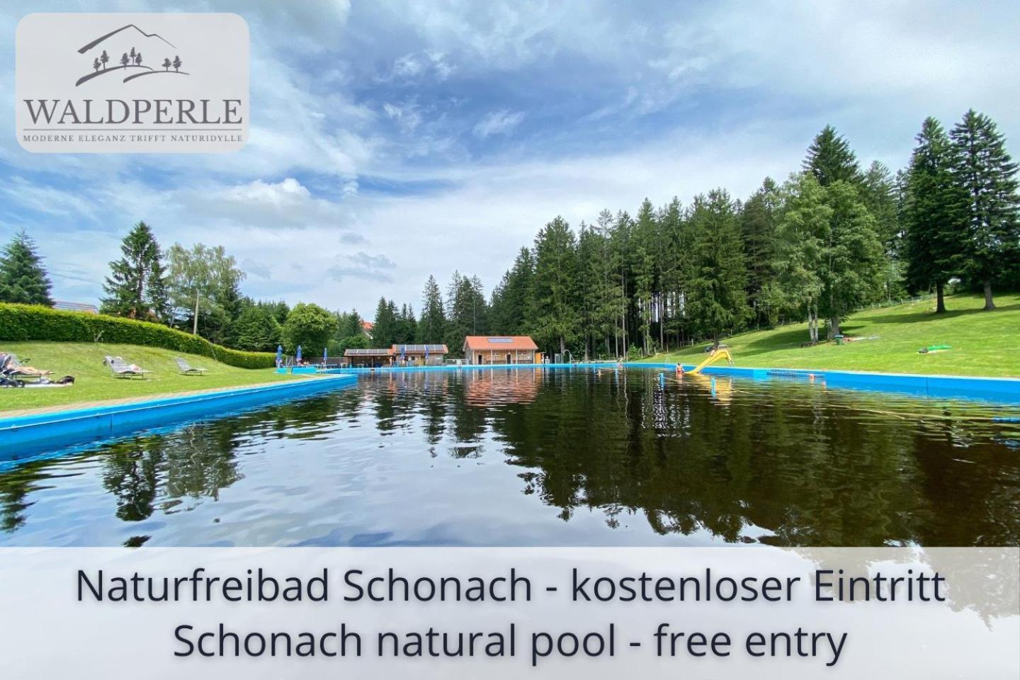 Auszeit Apartment Bellevue: Schwarzwald Panorama with Indoor Pool and Sauna Schonach im Schwarzwald Exterior photo