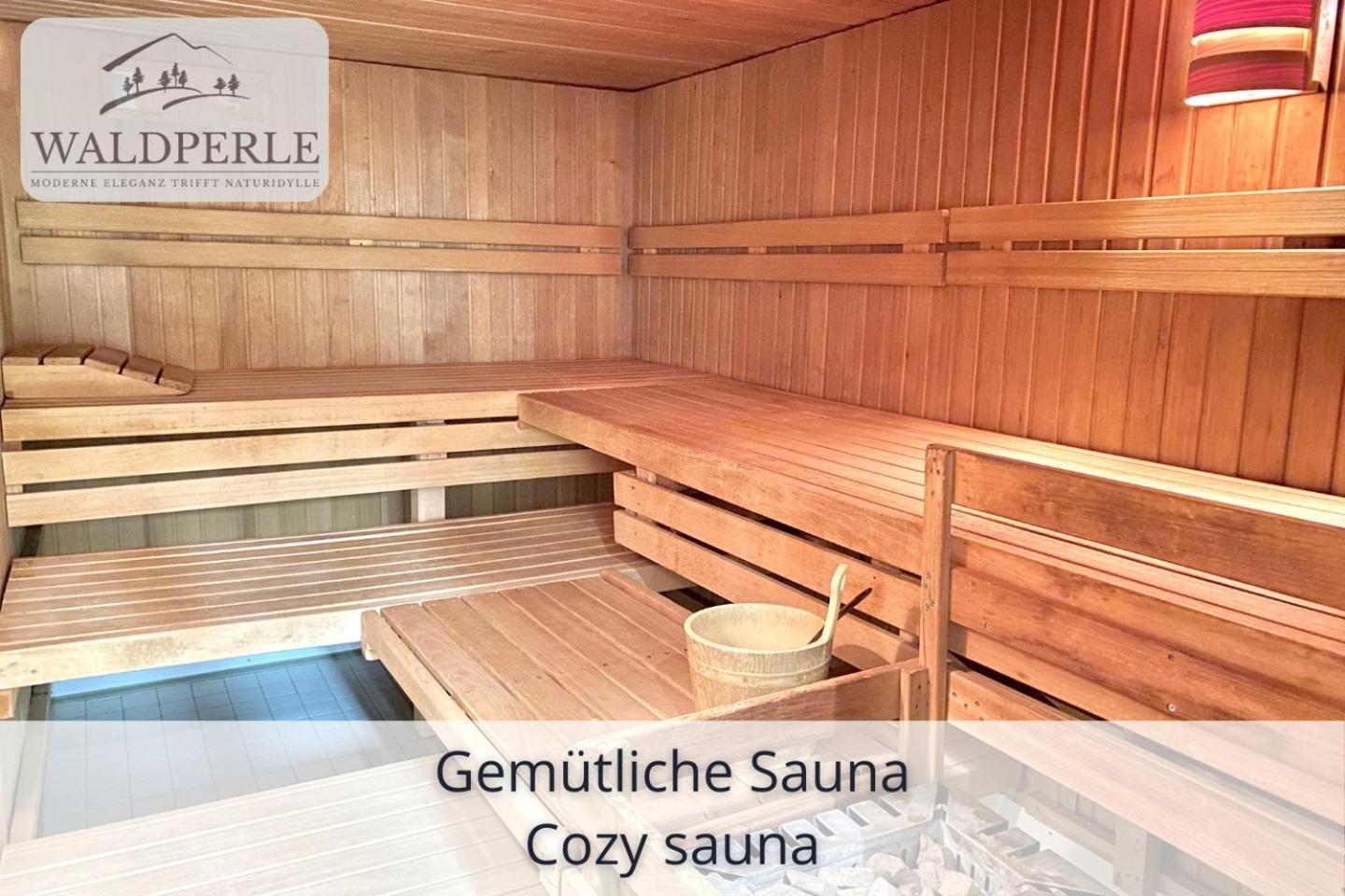 Auszeit Apartment Bellevue: Schwarzwald Panorama with Indoor Pool and Sauna Schonach im Schwarzwald Exterior photo