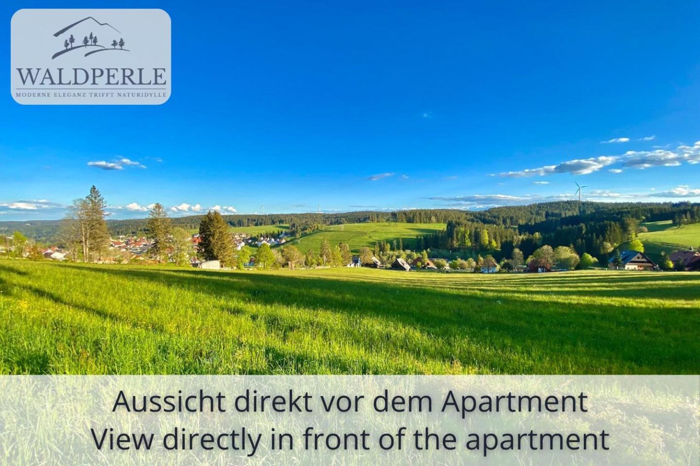 Auszeit Apartment Bellevue: Schwarzwald Panorama with Indoor Pool and Sauna Schonach im Schwarzwald Exterior photo