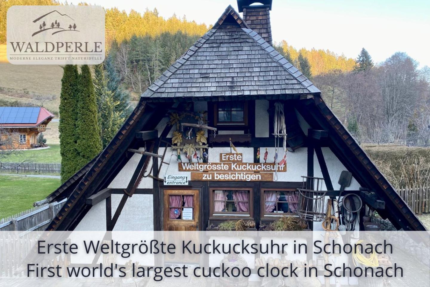 Auszeit Apartment Bellevue: Schwarzwald Panorama with Indoor Pool and Sauna Schonach im Schwarzwald Exterior photo