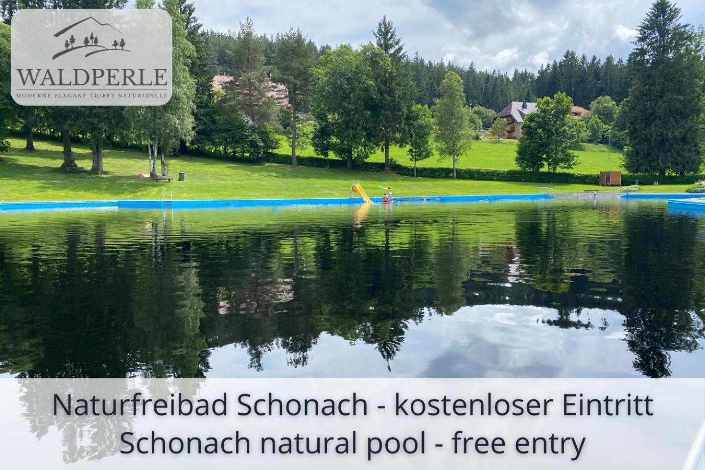 Auszeit Apartment Bellevue: Schwarzwald Panorama with Indoor Pool and Sauna Schonach im Schwarzwald Exterior photo