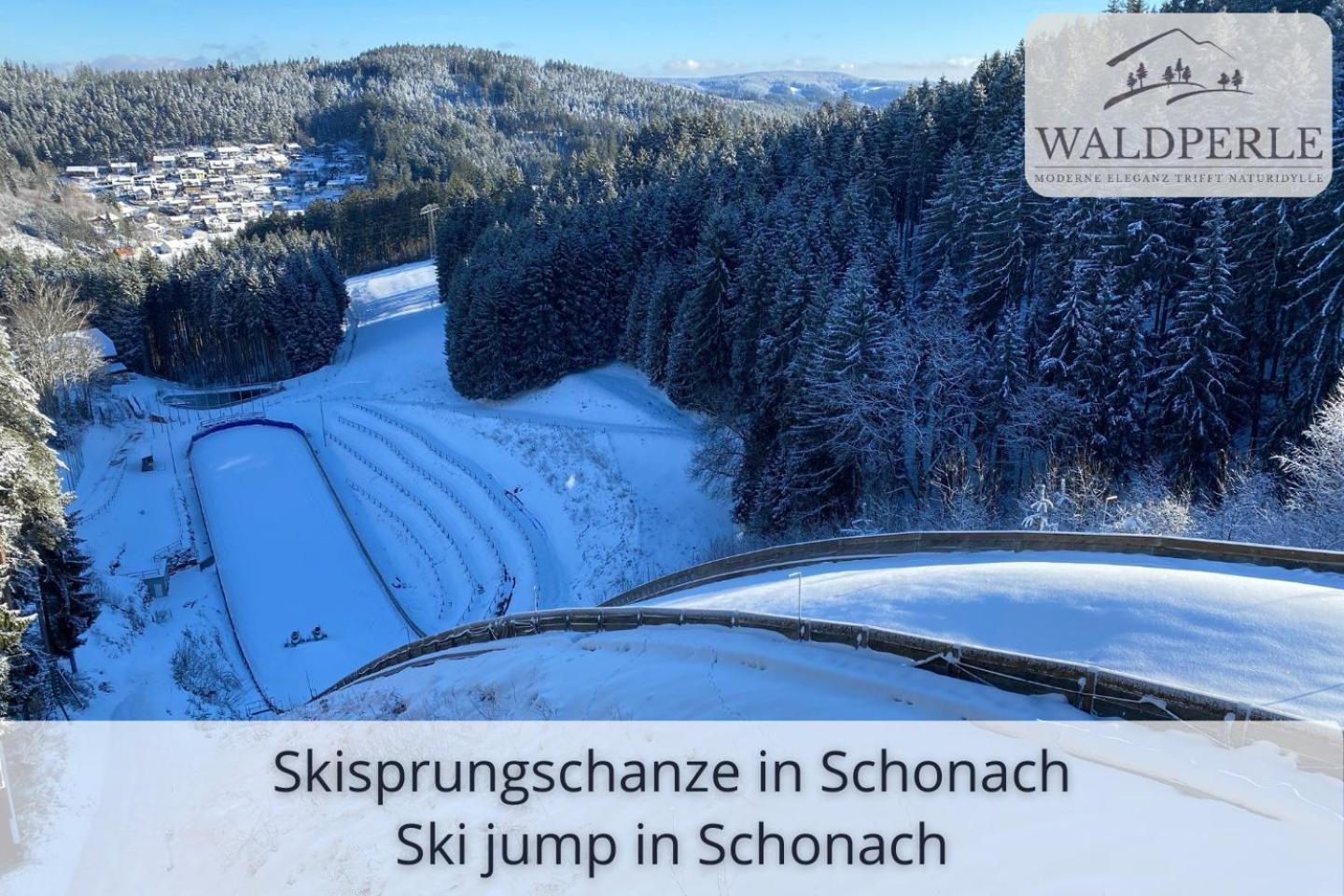 Auszeit Apartment Bellevue: Schwarzwald Panorama with Indoor Pool and Sauna Schonach im Schwarzwald Exterior photo