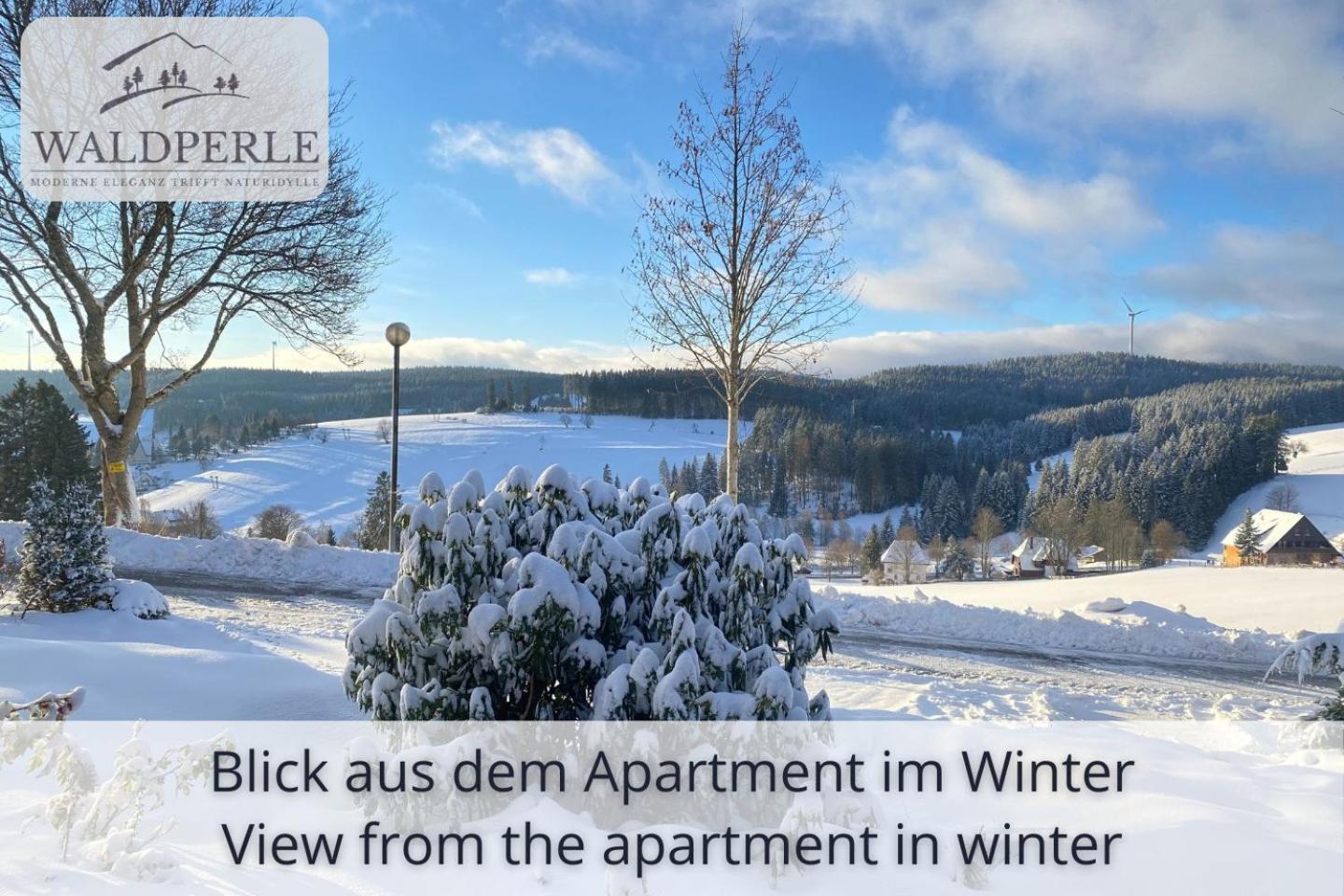 Auszeit Apartment Bellevue: Schwarzwald Panorama with Indoor Pool and Sauna Schonach im Schwarzwald Exterior photo