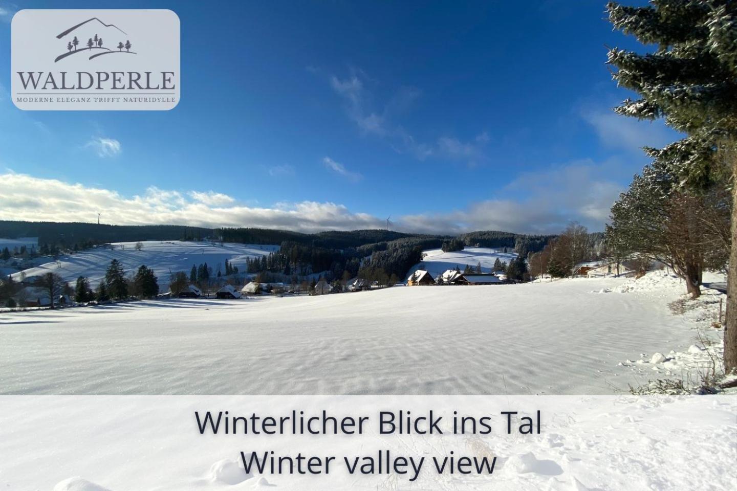 Auszeit Apartment Bellevue: Schwarzwald Panorama with Indoor Pool and Sauna Schonach im Schwarzwald Exterior photo